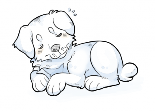 poor doge