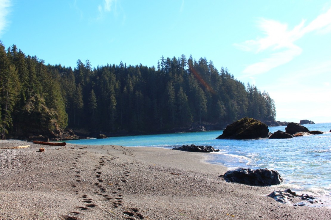 sombrio beach feb 2015 064_web
