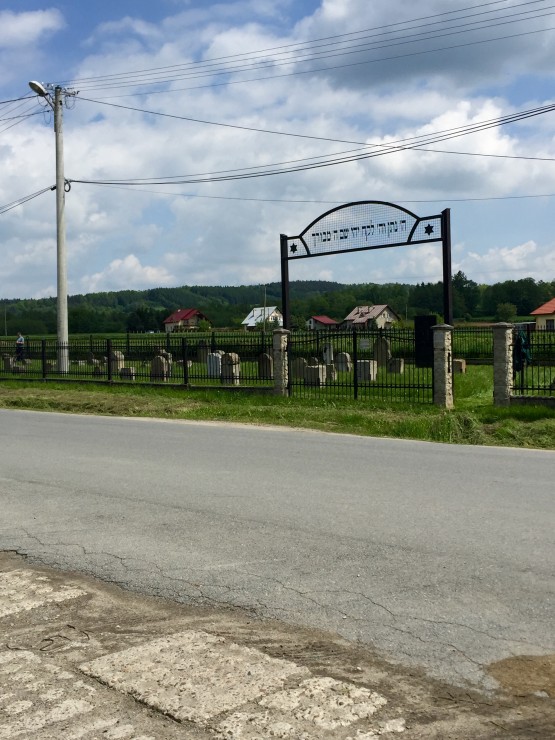 A Jewish cemetery in the small town of Brzostek, Poland. Photo by Riley van der Linden. 