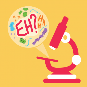 There's a lot to look at when it comes to the two letters of eh. Graphic by Leone Brander, graphics contributor