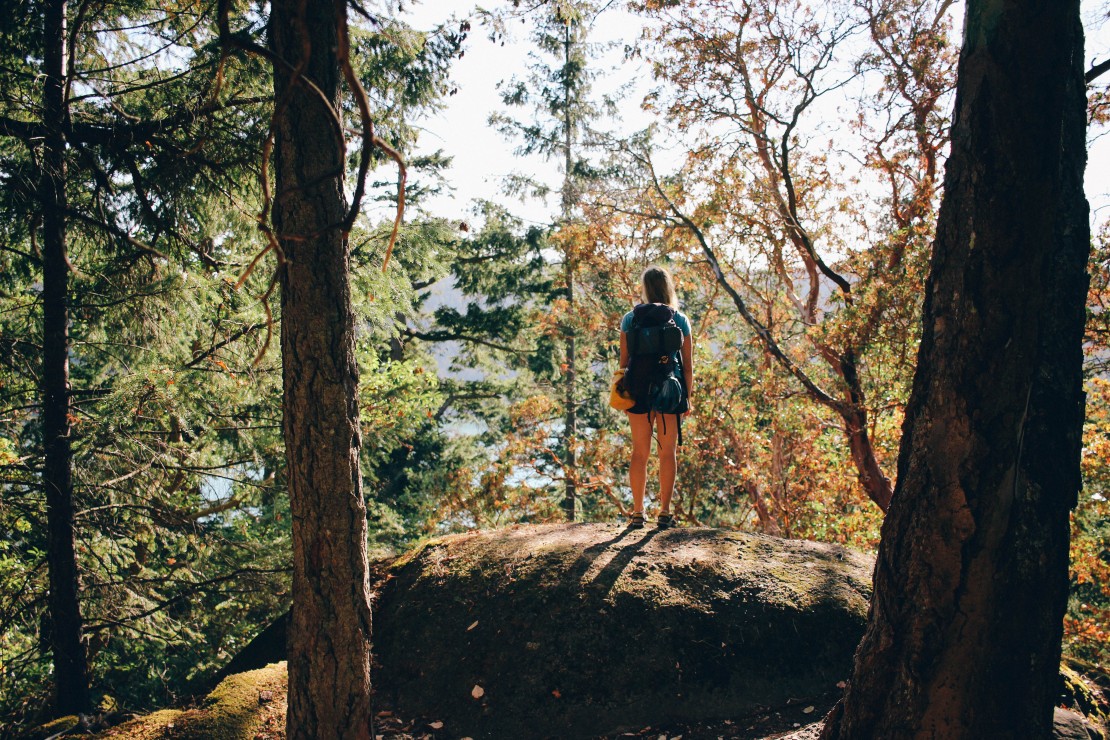 hiker in a forest