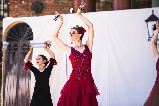 flamenco-one