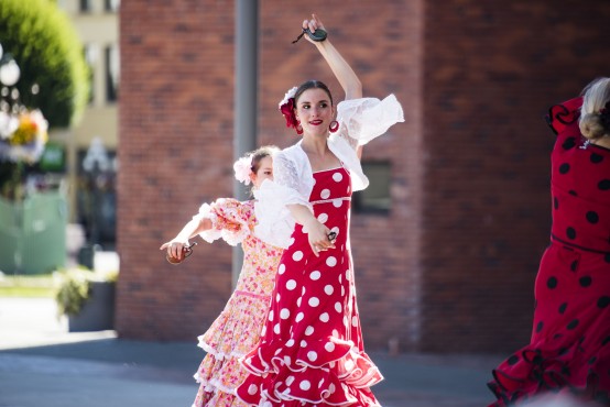 flamenco-three