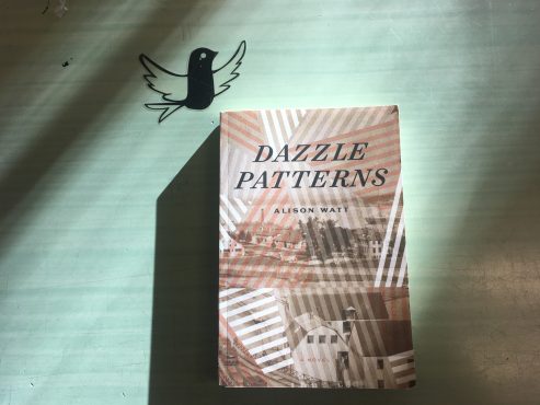 Brianna’s books: Dazzle Patterns by Alison Watt