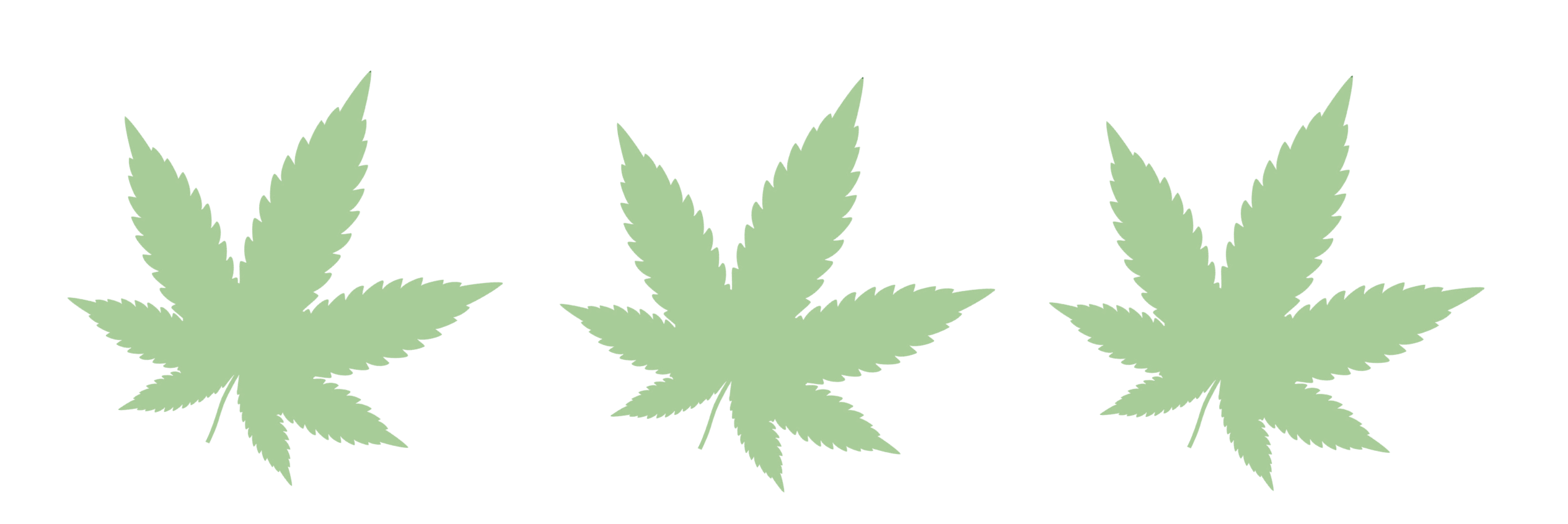 STREETERS: How do you think cannabis legalization will impact road safety?