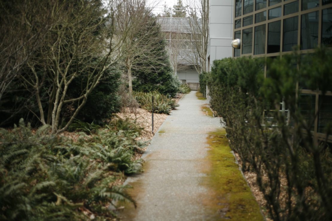 Why the Struggle is Real for Engineering Students in Online Courses. Spoiler alert: all of our motivation came from free coffee and slushie fridays... 