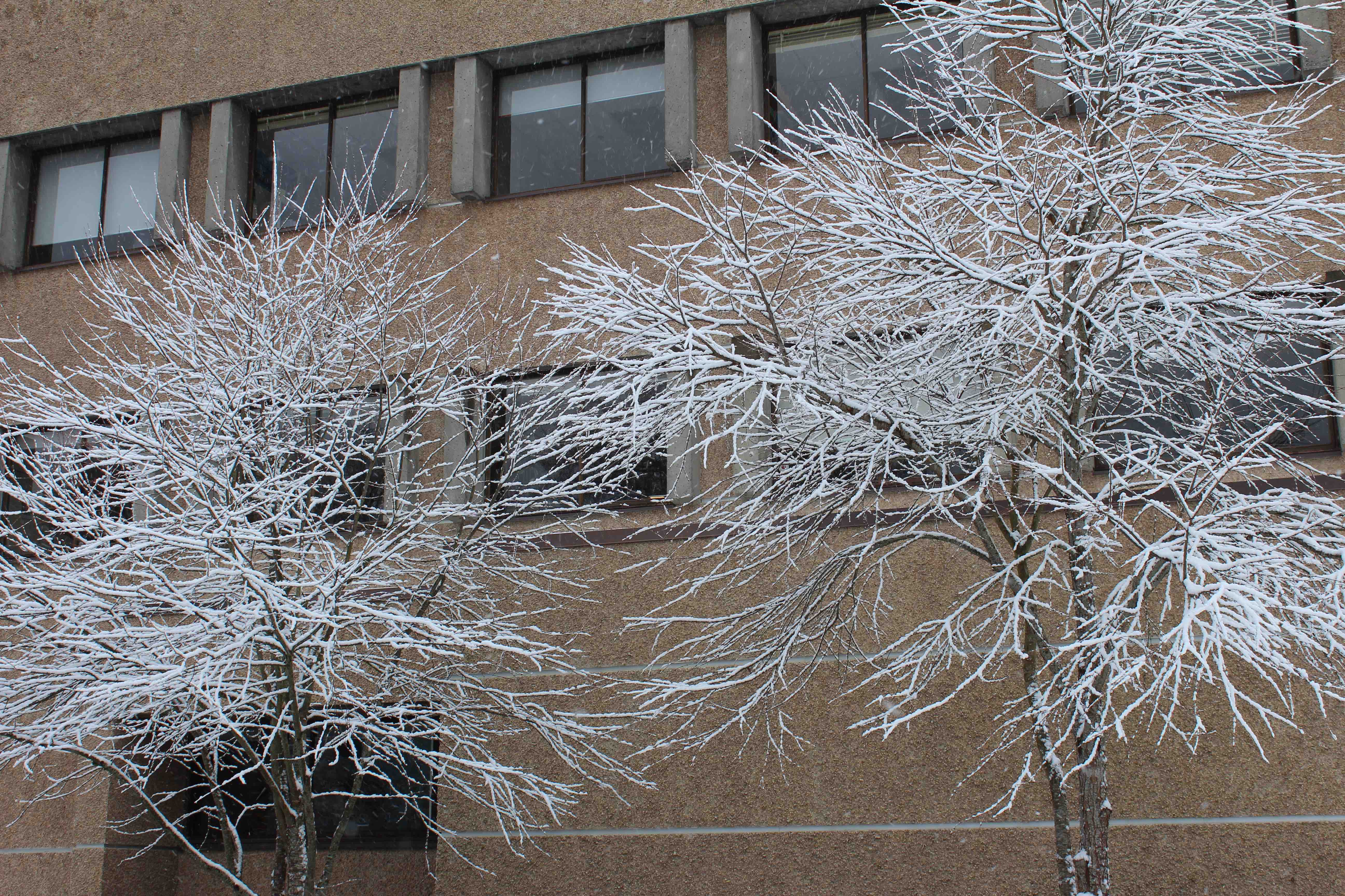 UVic to consider extending winter break after student petition