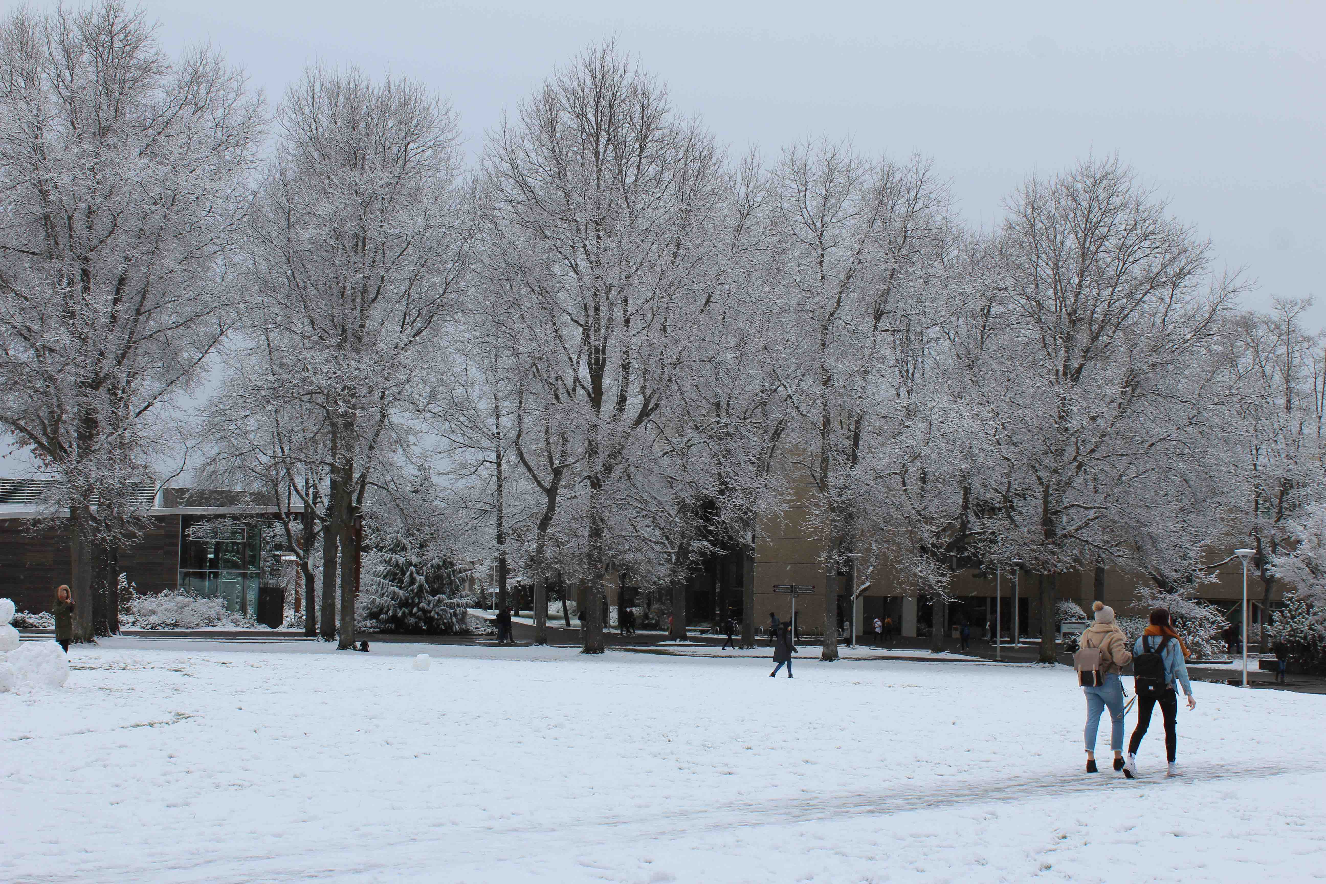 Why doesn’t UVic close when it snows?
