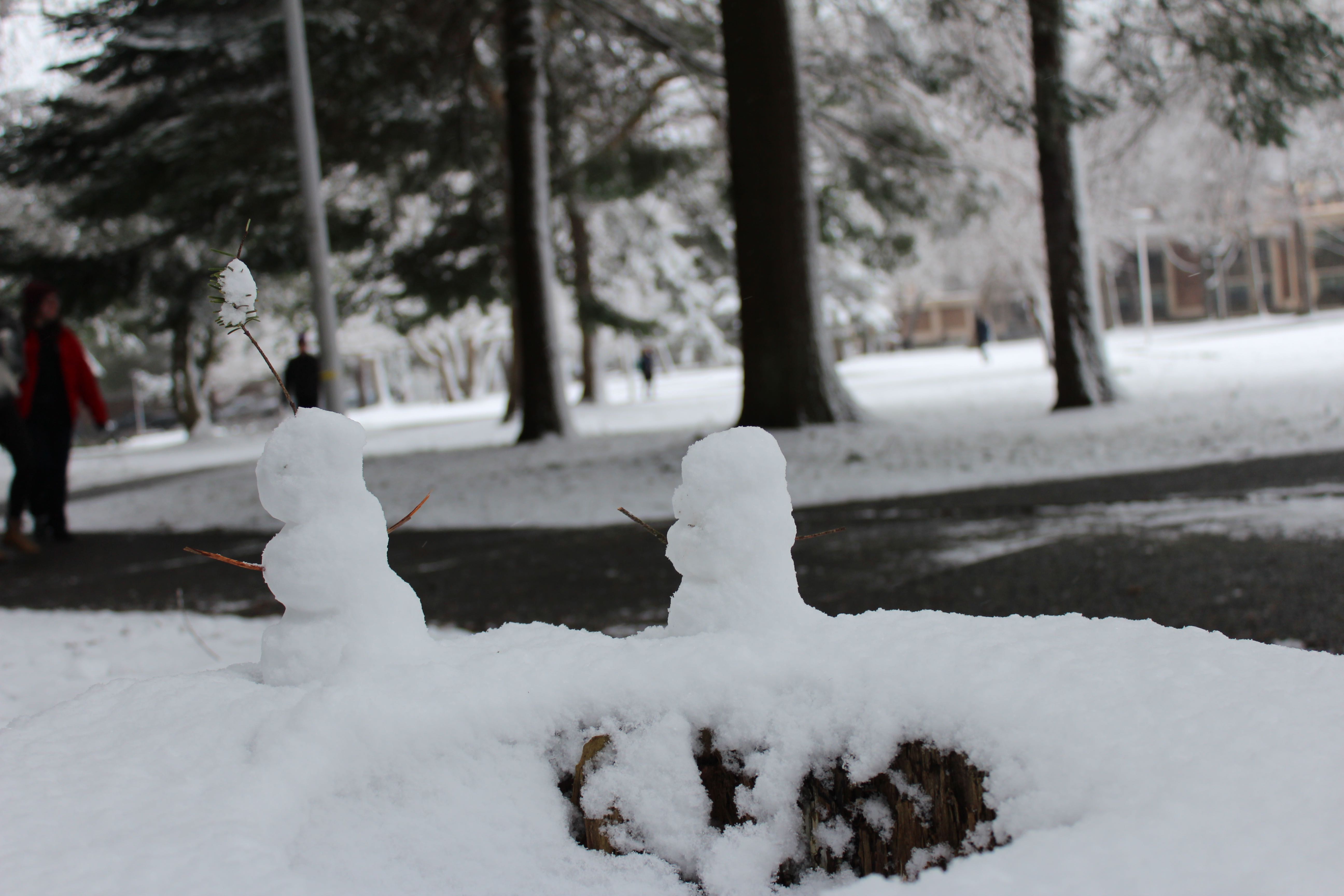 UVic closed due to snow