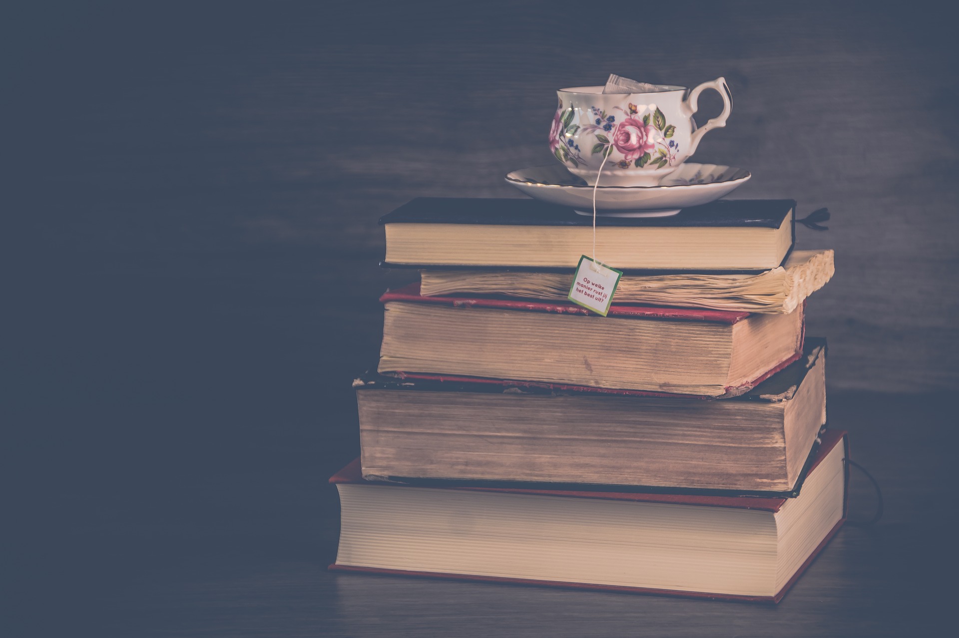 The single introvert’s Valentine’s Day book review