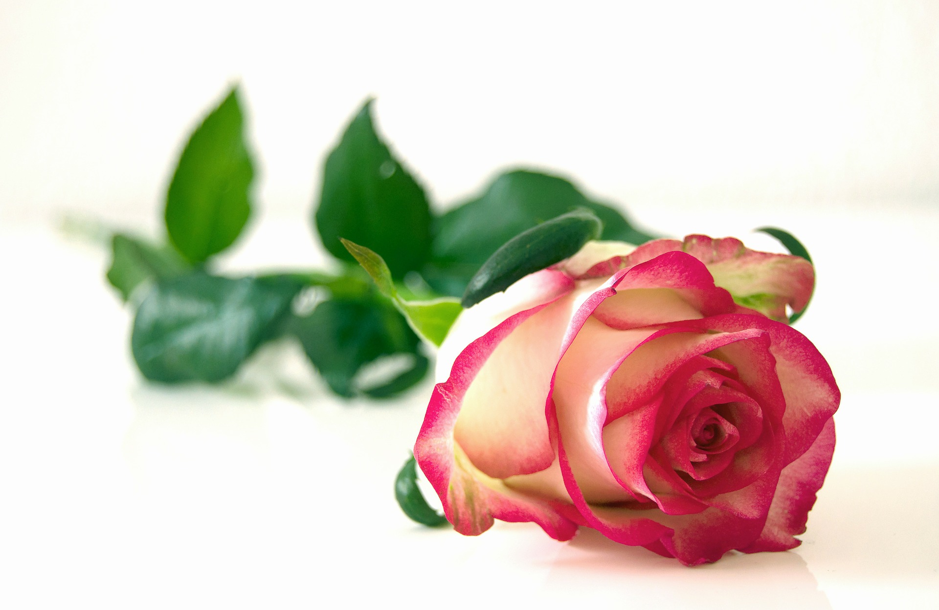 This season of ‘The Bachelor’ makes spectator sport out of virginity