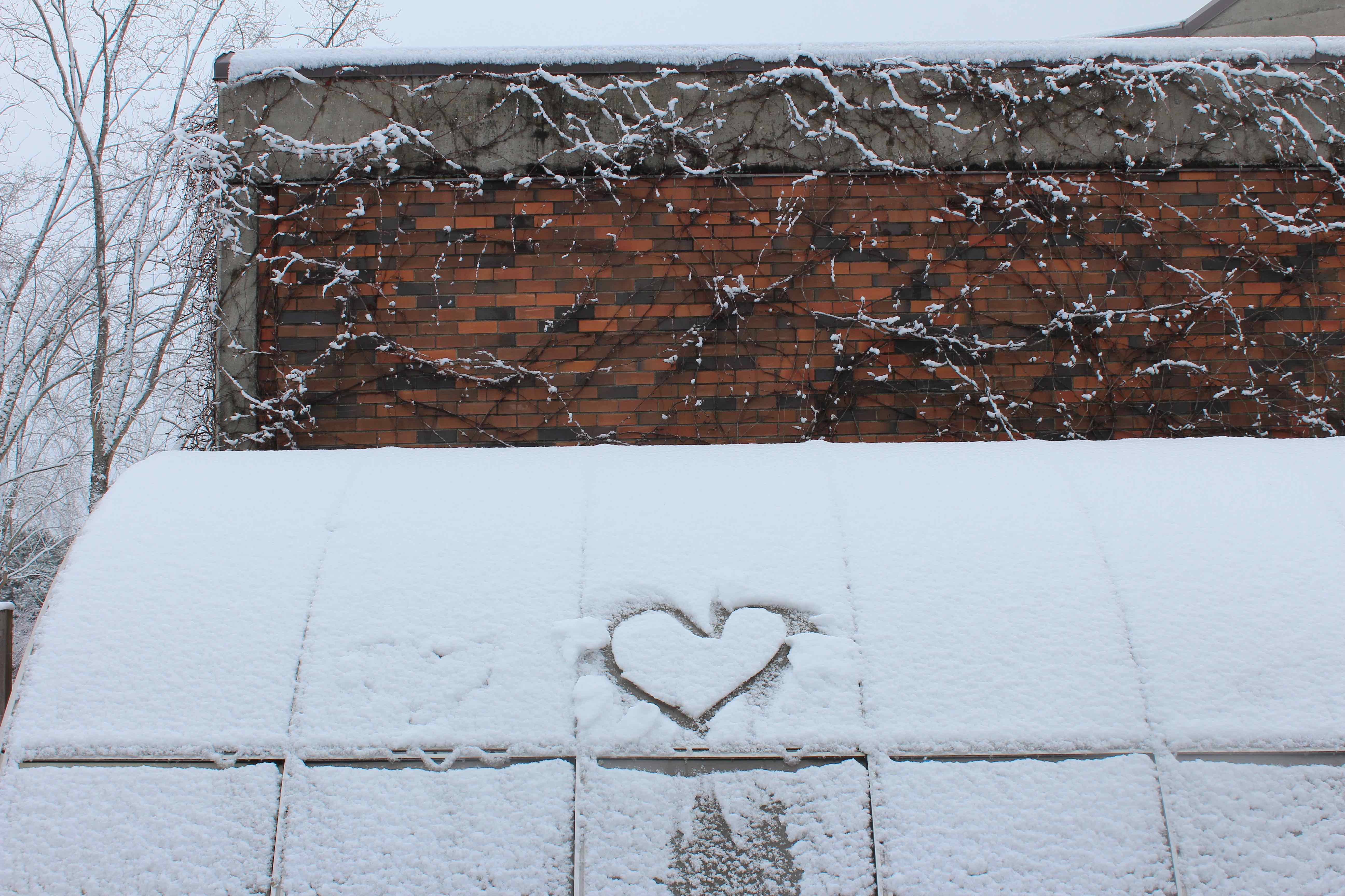 UVic announces campus closure for Tuesday due to snow