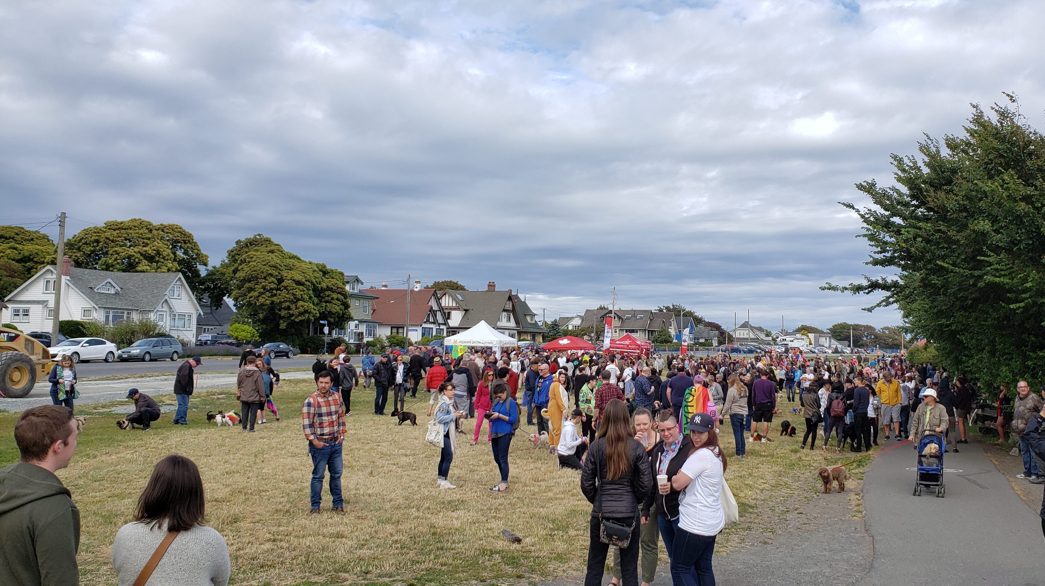 Victoria’s Big Gay Dog Walk 2019 showcases dogs strutting in style