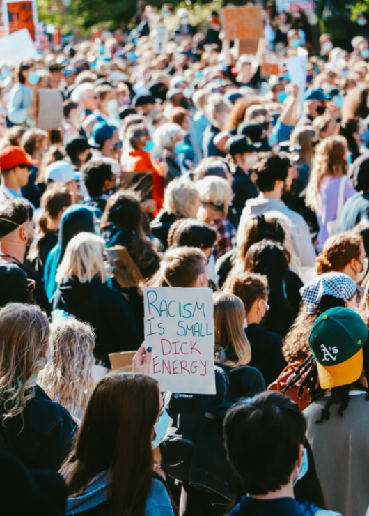 black lives matter peace rally protester's sign reads racism is small dick energy