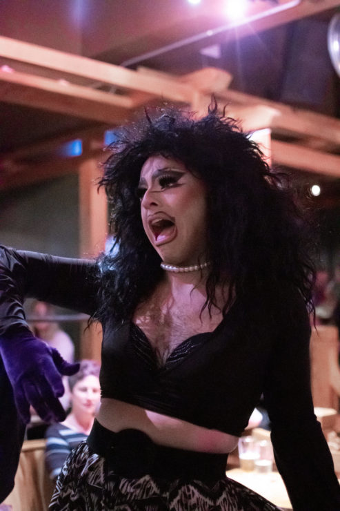The Vicious Poodle drag show