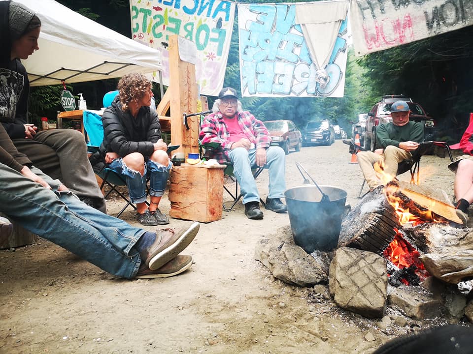 Fairy Creek blockade scene