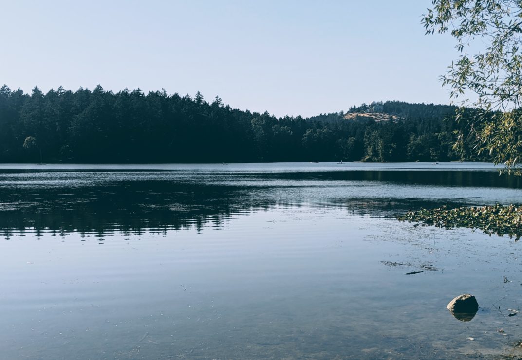 Elk Lake, where vikes rowing teams train