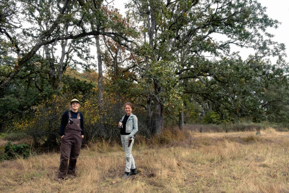 ecological restoration club