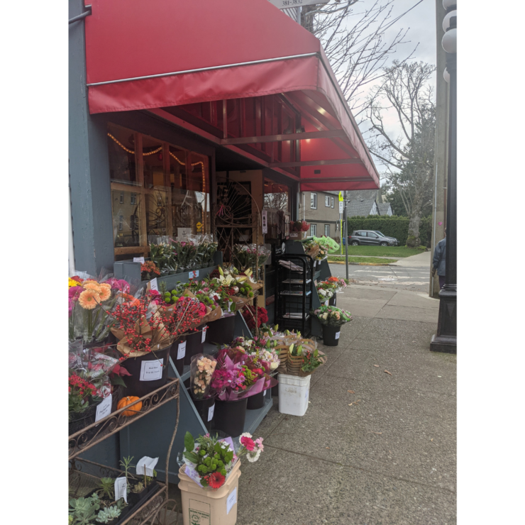 local businesses in Victoria, birdcage confectionary