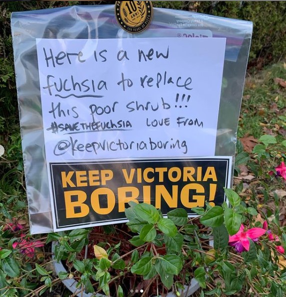 keep victoria boring new fuschia