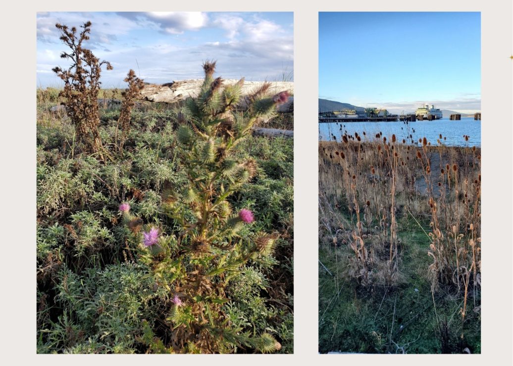 Indigenous sovereignty landscape photos