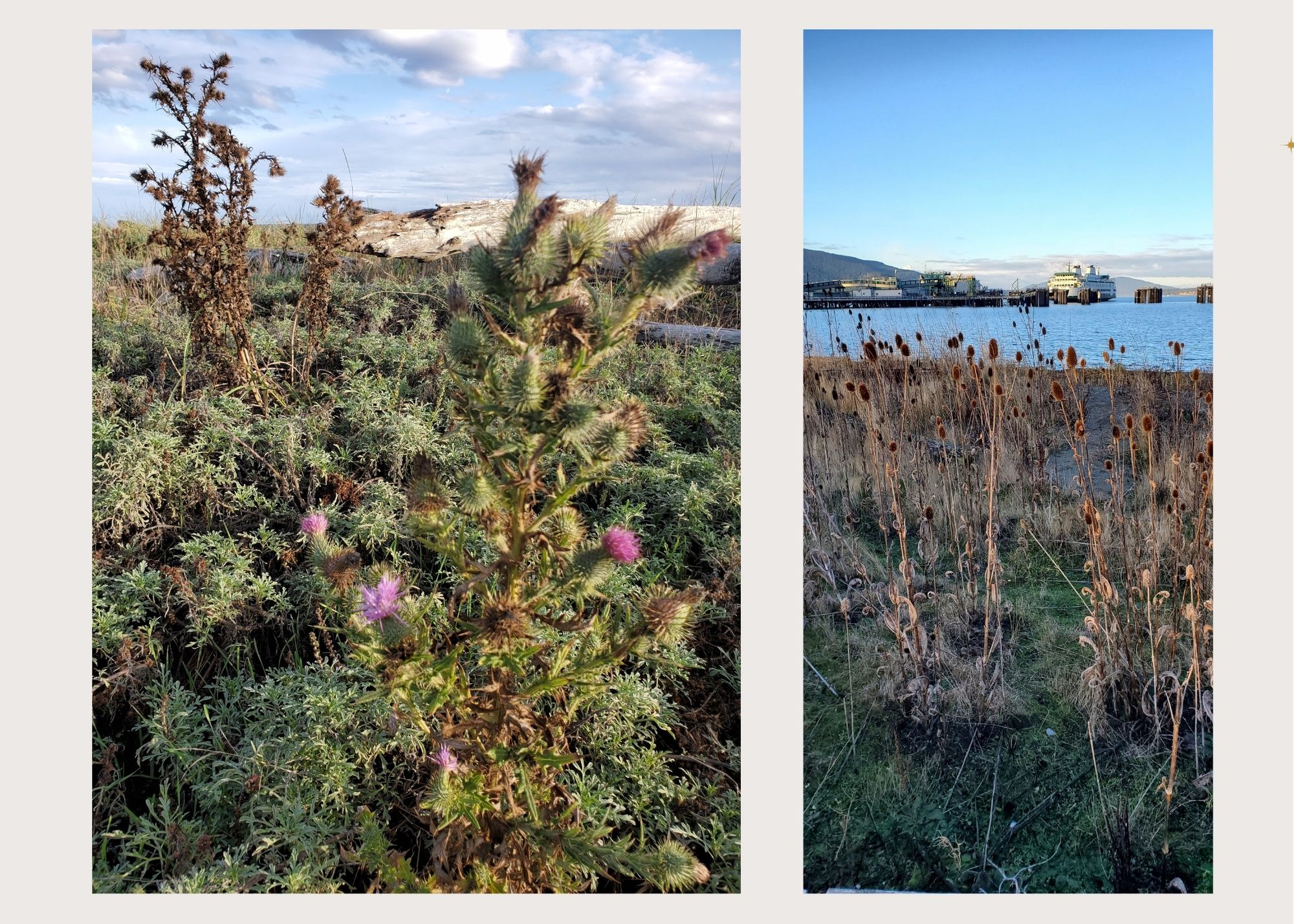 Indigenous sovereignty landscape photos