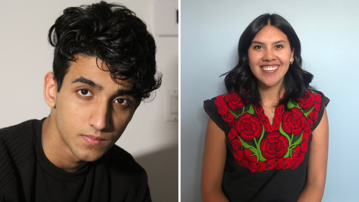 uvss student affairs