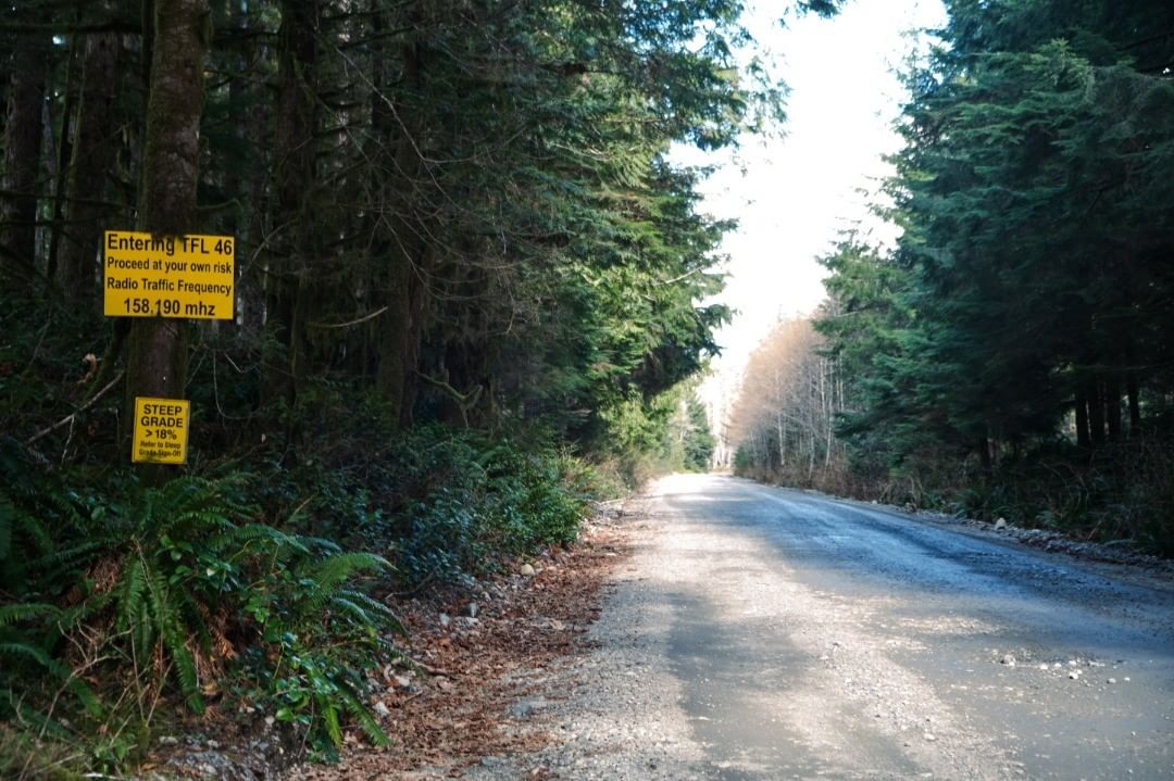 road to fairy creek blockade forests