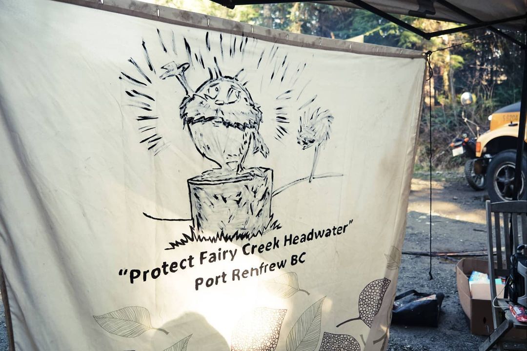 fairy creek blockade lorax sign