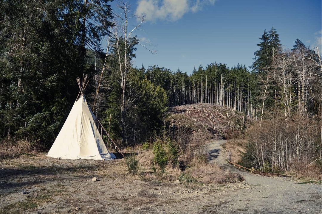 fairy creek blockade camp