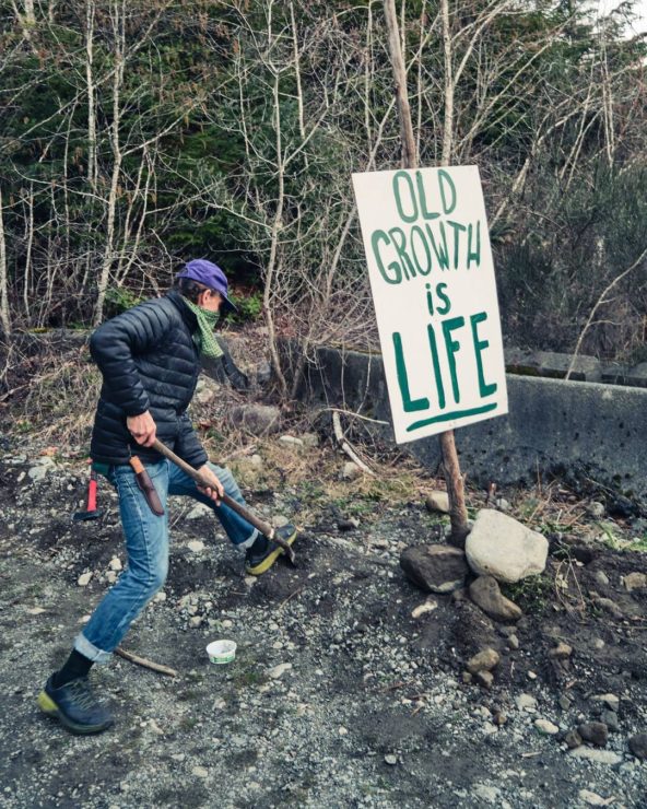 old growth is life fairy creek blockade sign
