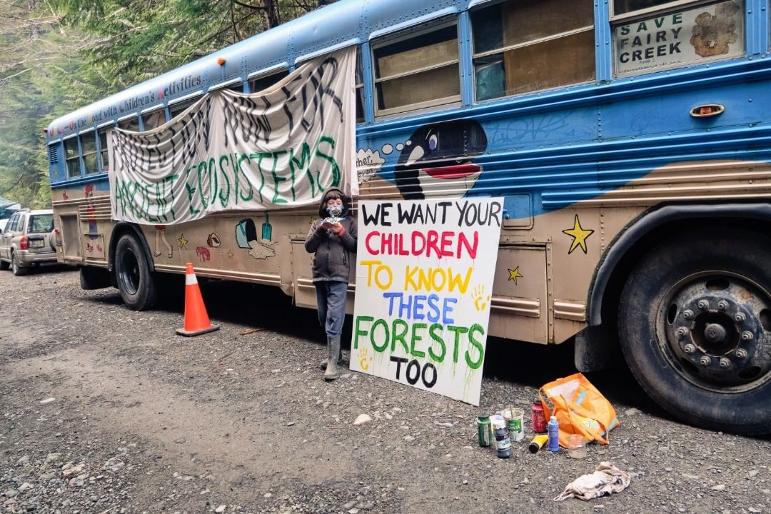 fairy creek blockade orcabus