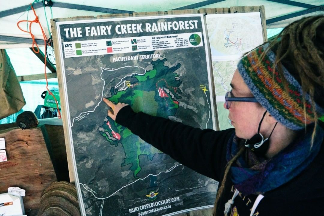 fairy creek blockade old growth map