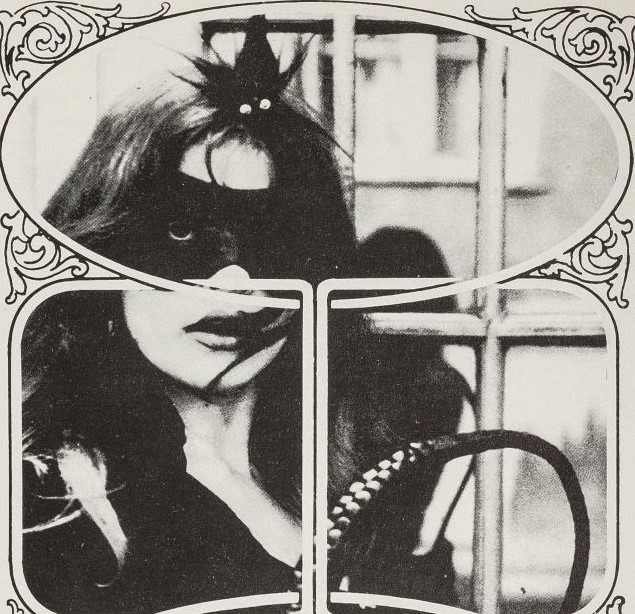 erotica or pornography in the library