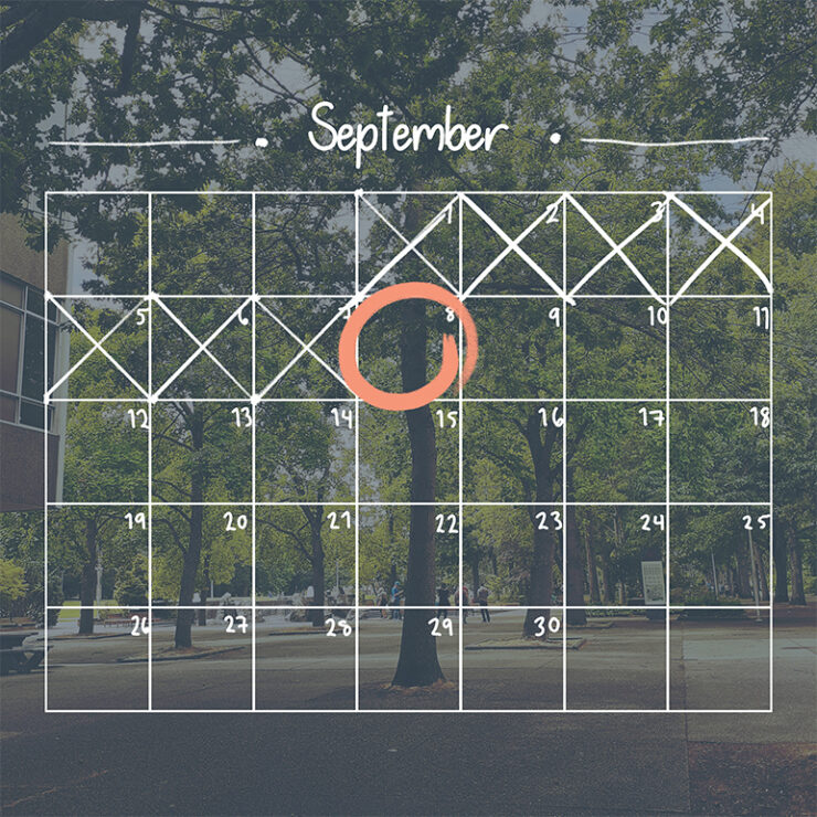 fall return graphic