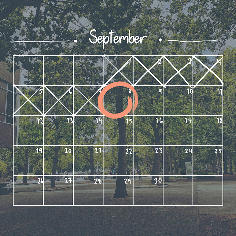 fall return graphic