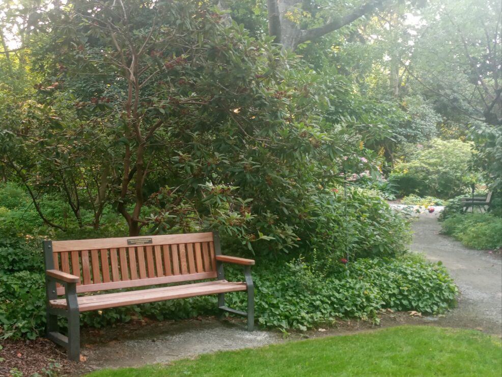 Memorial park bench, photo by Betty Sileshi.
