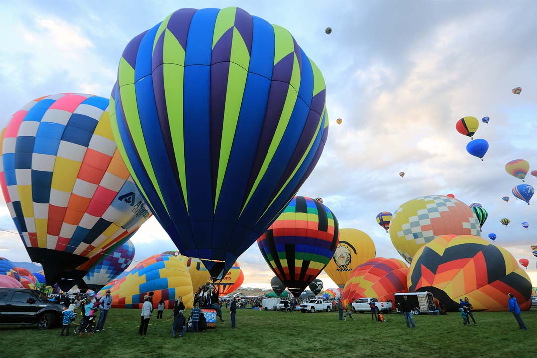 Screenshot sourced from intoamericaswild.com.