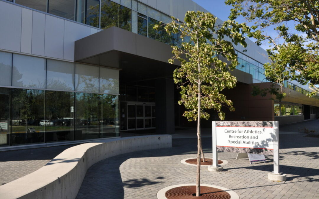 Eight classes and activities you can try at CARSA this summer