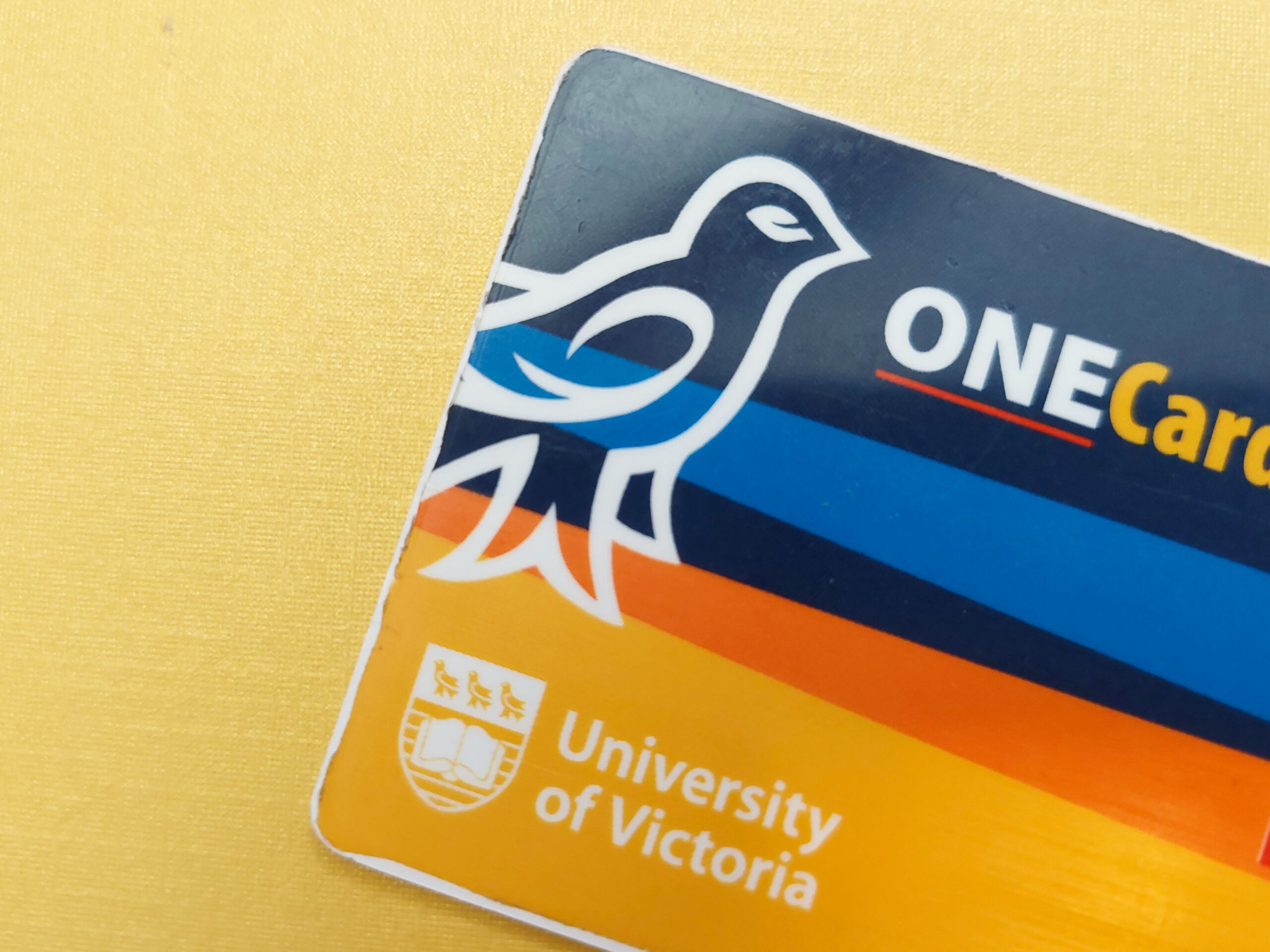 ONECard, photo by Sie Douglas-Fish