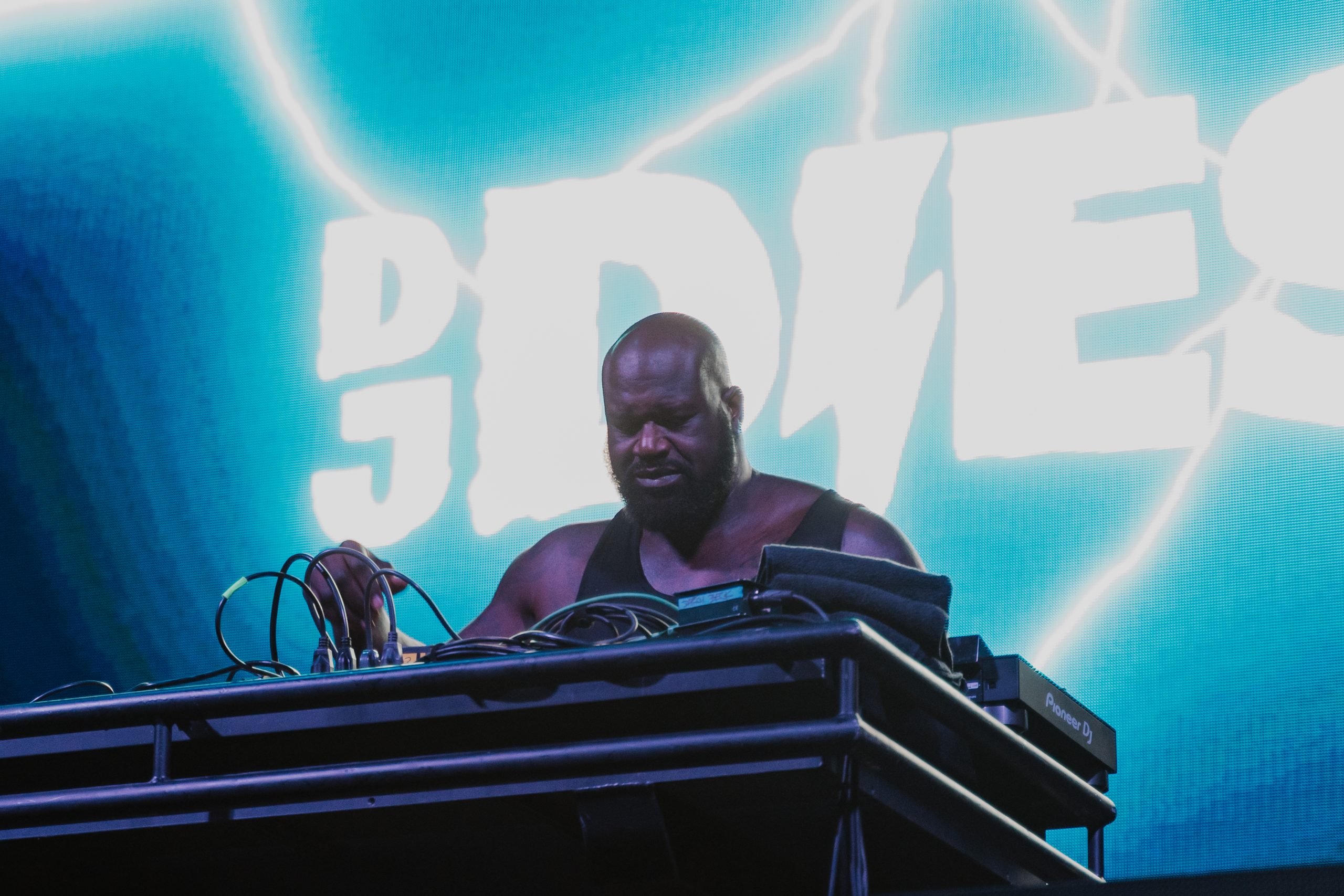  DJ Diesel at Rifflandia music festival