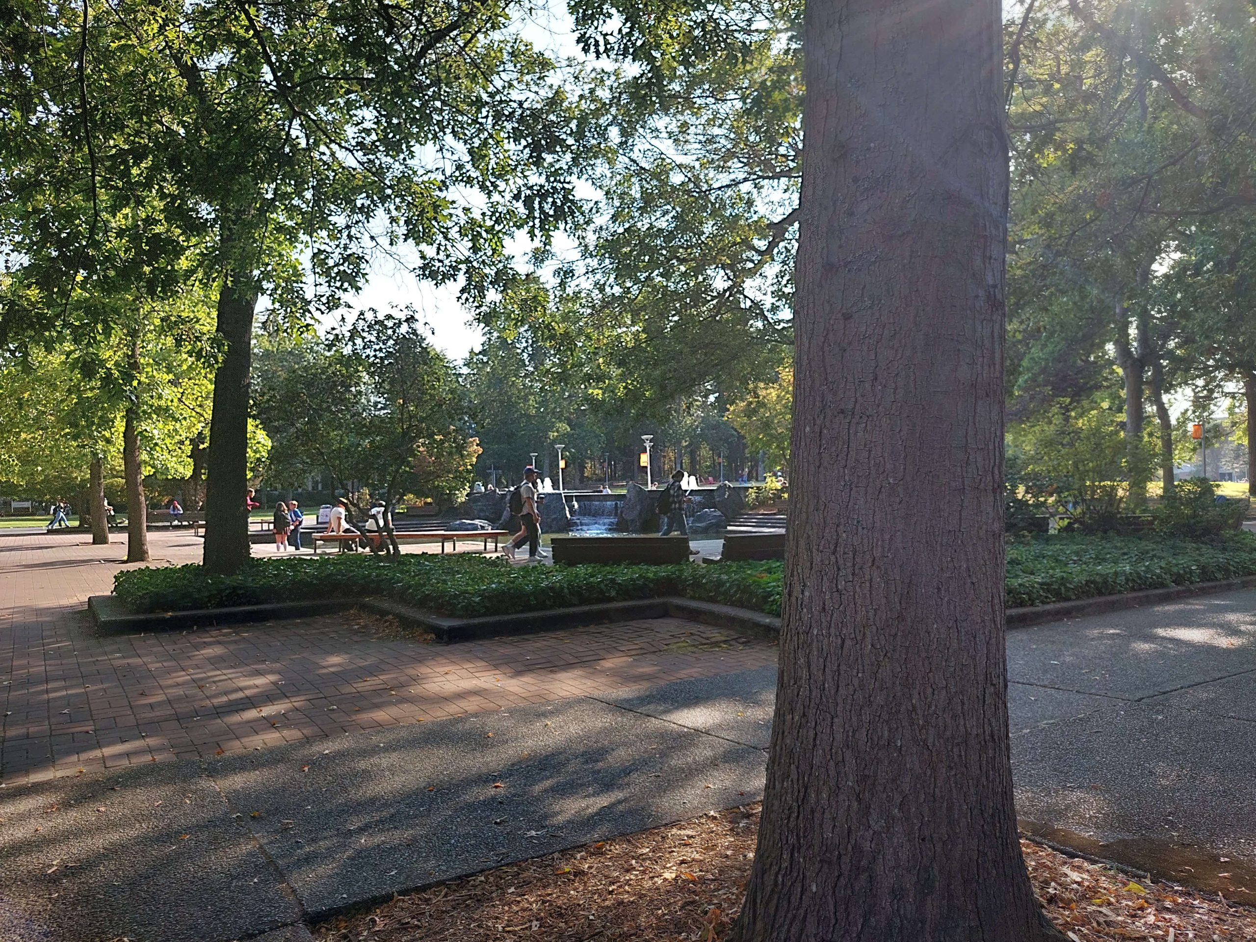 UVic campus, photo by Sie Douglas-Fish