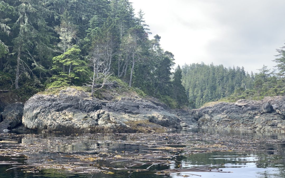 Regulations in Canada’s Pacific are far from perfect