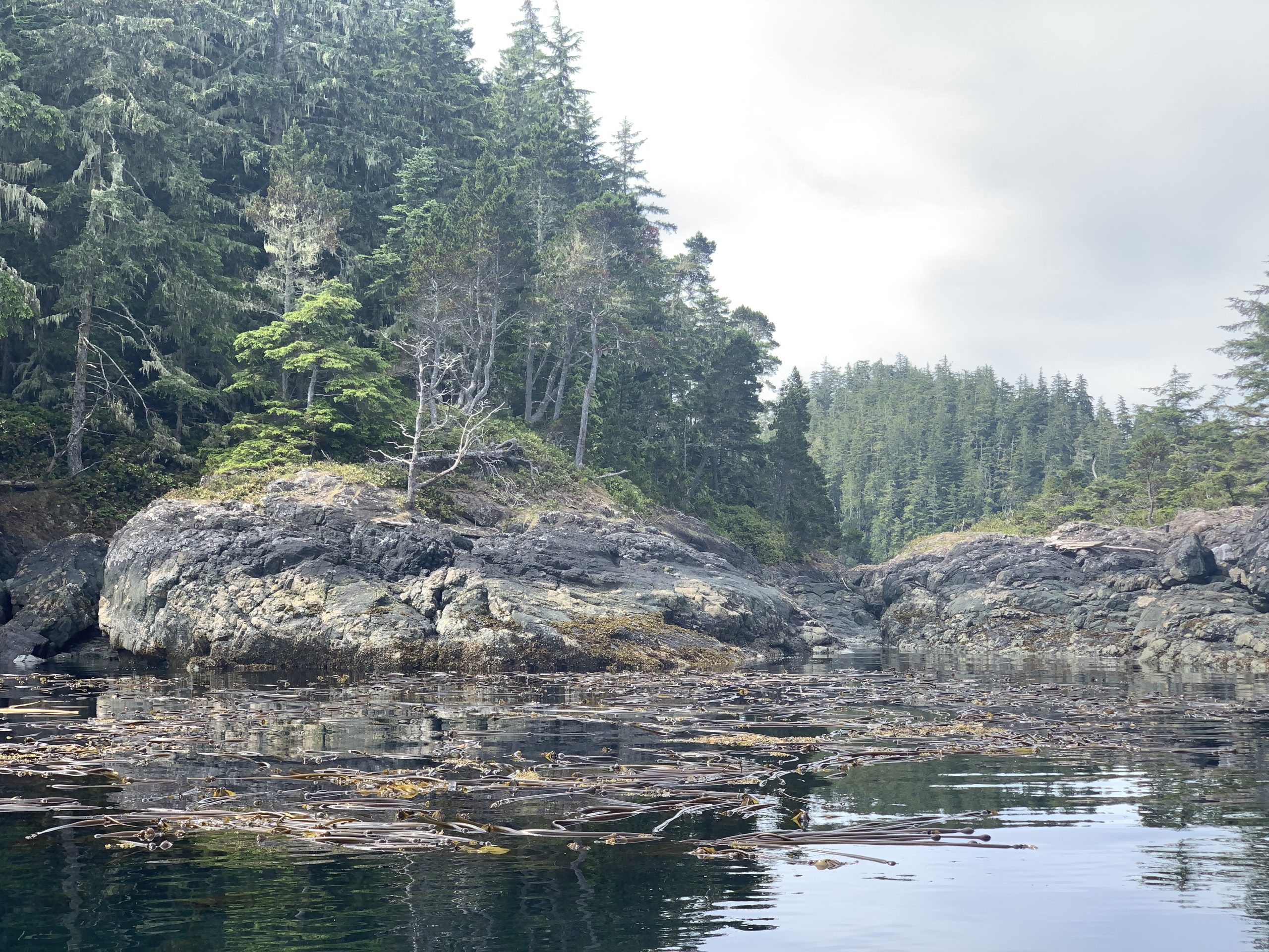 Broughton Archipelago, photo by Isabel Gregor.