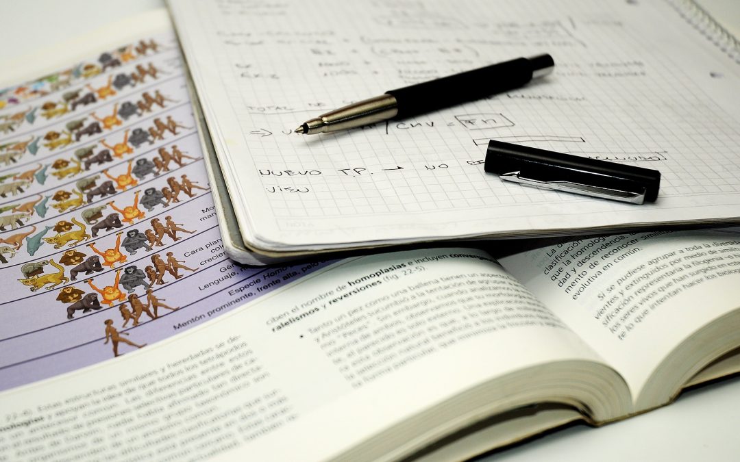 Exams: No one likes them, and yet professors continue to use them