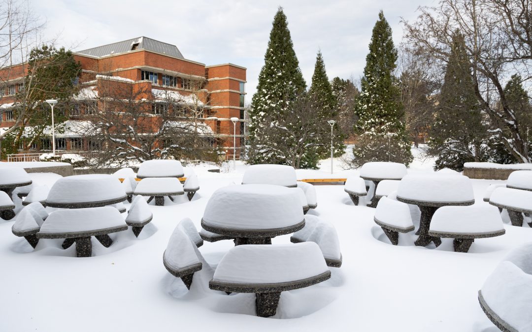 December snowstorm affects student’s return home for the holidays