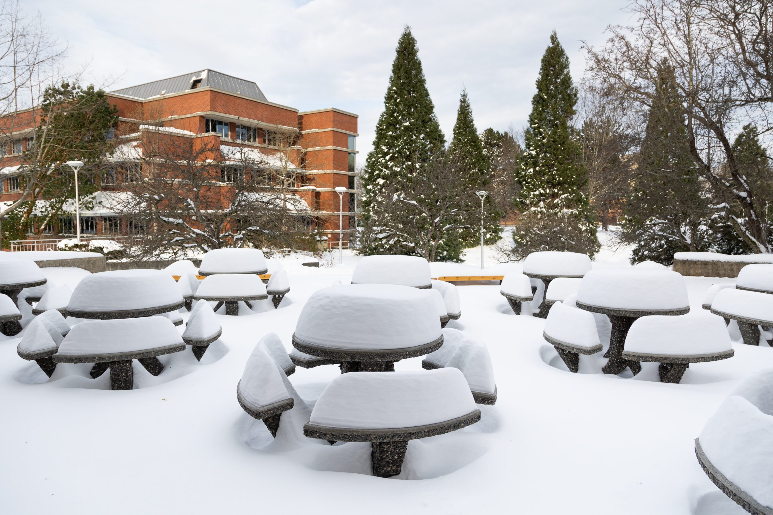 Photo via UVic, sourced from @universityofvictoria on Instagram.
