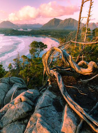 Cox Bay lookout, image by Dakota Coburn.