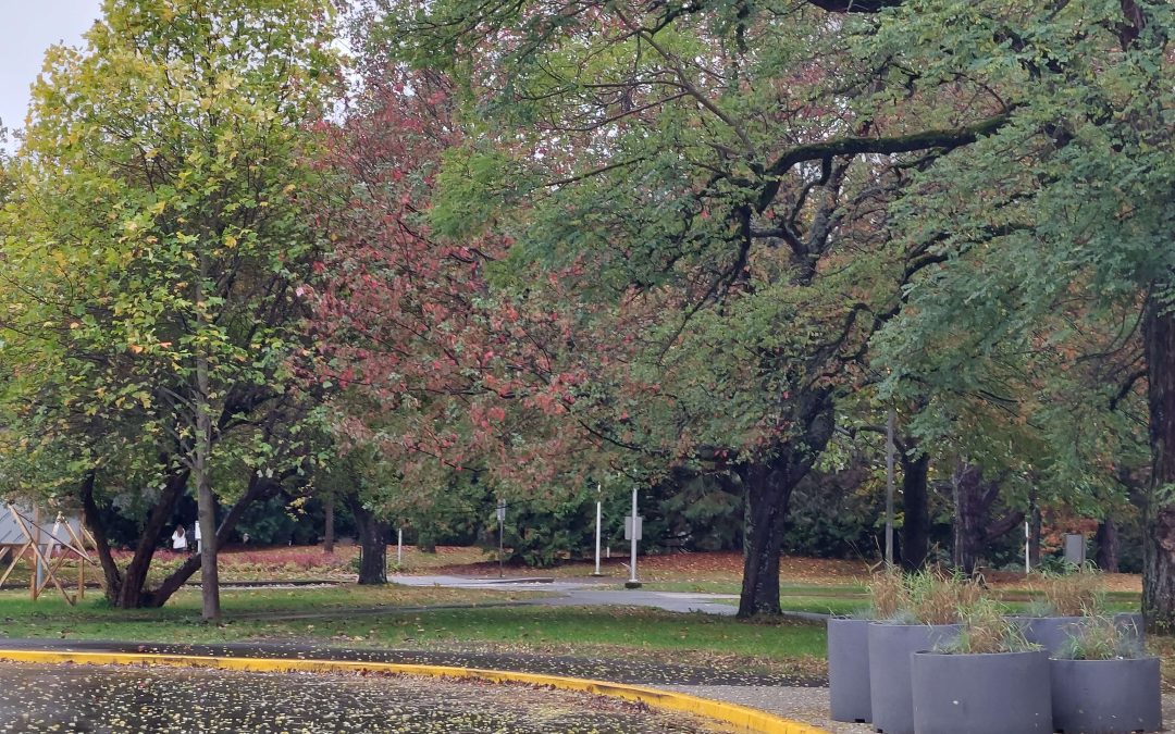 UVic announces four per cent budget reduction 
