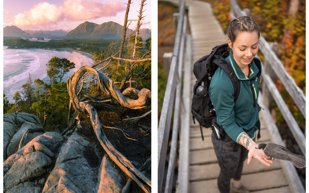 The best north island hiking adventures